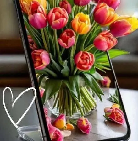 Kabakum Apartament Varna