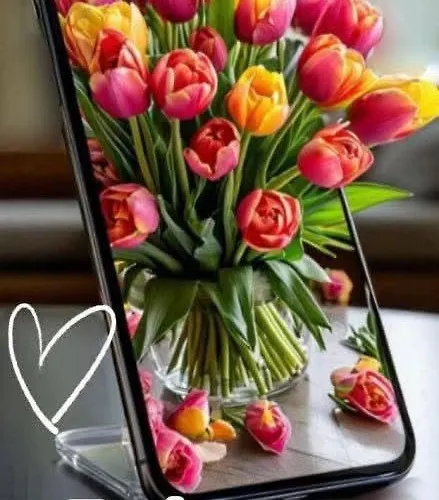 Kabakum 아파트 바르나